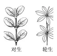 詹姆斯泸州老窖天府中学赛后发声的简单介绍|欧博真人官方网站